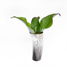 Load image into Gallery viewer, Decorative Horn Vase