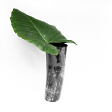Load image into Gallery viewer, Decorative Horn Vase