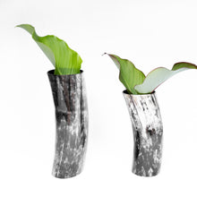 Load image into Gallery viewer, Decorative Horn Vase