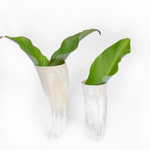 Load image into Gallery viewer, Decorative Horn Vase