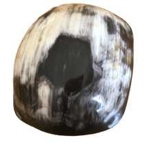 Load image into Gallery viewer, Kimaka Curved Decorative Accent Bowl.