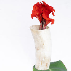 Decorative Horn Vase